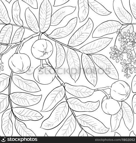 andiroba branches vector pattern on white background. andiroba vector pattern on white background