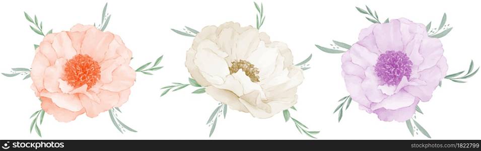 Anemone flower bouquet watercolor set design element isolated on white background.Vector illustration.Eps10