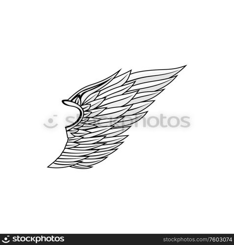 Angel wing isolated birds plumage. Vector falcon or eagle heraldry symbol, freedom concept. Falcon or eagle wing, symbol of freedom