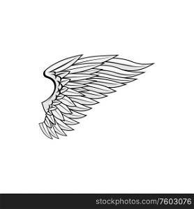 Angel wing isolated birds plumage. Vector falcon or eagle heraldry symbol, freedom concept. Falcon or eagle wing, symbol of freedom