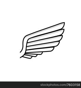 Angel wing isolated birds plumage. Vector falcon or eagle heraldry symbol, freedom concept. Falcon or eagle wing, symbol of freedom