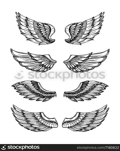 Angel wings. Abstract black winged design. Eagle bird wing hand drawn isolated set. Feather bird wings, gothic tattoo illustration wing. Angel wings. Abstract black winged design. Eagle bird wing hand drawn isolated set