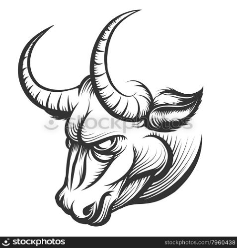 Angry Bull head. Illustration in engraving style. Isolated on white.