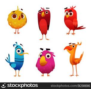 Angry cartoon birds. Chicken eagles canary animal faces and feathers vector game characters of colored birds. Illustration of color bird animal. Angry cartoon birds. Chicken eagles canary animal faces and feathers vector game characters of colored birds