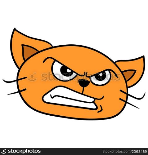 angry face head cat pet