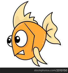 angry faced goldfish