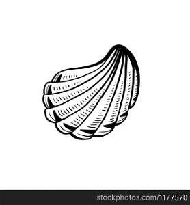 Angular murex seashell hand drawn illustration. Seashore conch, mollusk monochrome sketch. Freehand outline clam shell engraving. Conchology isolated design element. Realistic ink pen drawing. Angular murex conch hand drawn ink pen sketch