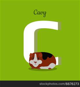 Animal alphabet vector concept. Flat style. Zoo ABC with domestic animal. Guinea pig lying on green background, letter C behind. Educational glossary. For children s books, textbooks illustrating. Animal Alphabet Concept in Flat Design. Animal Alphabet Concept in Flat Design