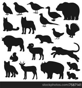 Animal and bird black silhouettes of hunting sport design. Vector bear, wolf and duck, african buffalo, fox and pheasant, bison, panther or leopard, goose, grouse and squirrel, woodcock and badger. Bear, duck, buffalo, wolf, panther, fox silhouette