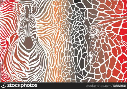 Animal background of zebra and giraffe