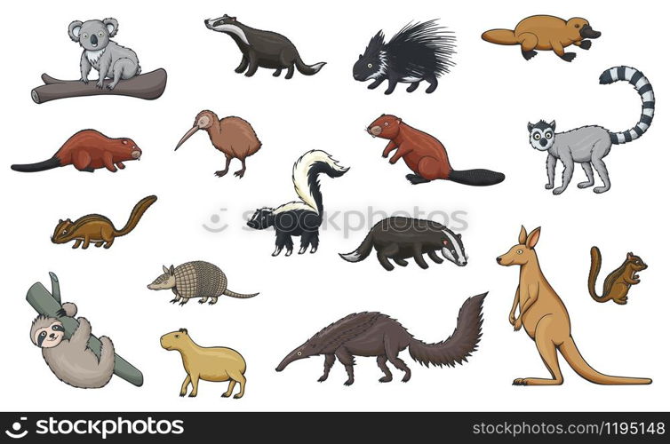Animal cartoon icons of hunting sport, zoo and wildlife. Vector kangaroo, koala and platypus, kiwi bird, porcupine, badger, beaver and lemur, chipmunk, capybara and sloth, armadillo, skunk, anteater. Wild animal cartoon icons of zoo and wildlife