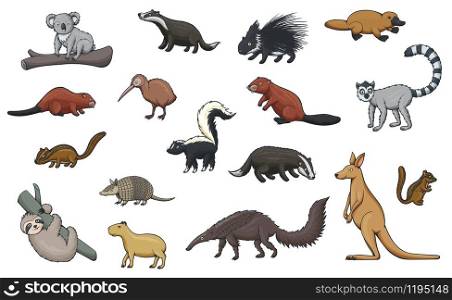 Animal cartoon icons of hunting sport, zoo and wildlife. Vector kangaroo, koala and platypus, kiwi bird, porcupine, badger, beaver and lemur, chipmunk, capybara and sloth, armadillo, skunk, anteater. Wild animal cartoon icons of zoo and wildlife