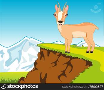 Animal chamois and beautiful landscape with snow mountain about glade. Wildlife chamois on background of the nature
