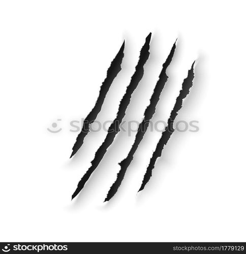 Animal claw marks scratches of wild bear, tiger, lion or dragon. Vector ...