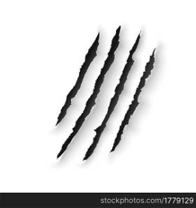 Animal claw marks scratches of wild bear, tiger, lion or dragon. Vector slash traces with torn edges of horror monster attacking paw, black marks or trails of angry beast sharp claws. Animal claw marks scratches of wild bear and tiger