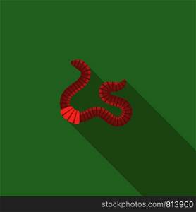 Animal Earth Red Worms for Fishing on Green Background.. Animal Earth Red Worms for Fishing on Green Background