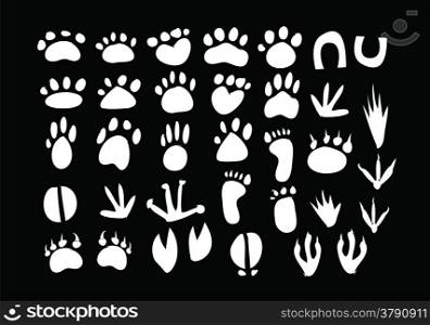 Animal Footprint