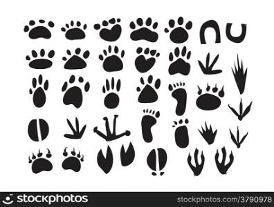 Animal Footprint