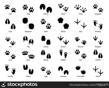 Animal footprints. Walking track animals paw with name, pets tracks, bird and wild animals trail, wildlife safari feet silhouette isolated vector foot prints. Animal footprints. Walking track animals paw with name, pets tracks, bird and wild animals trail, wildlife safari feet silhouette vector prints