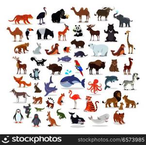 Animal full length portraits collection on white. Vector poster of domestic and wild animals from various countries, lion family, green alligator, colourful parrot on branch, whale splashing water. Animal Full Length Portraits Collection on White