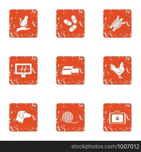Animal inspector icons set. Grunge set of 9 animal inspector vector icons for web isolated on white background. Animal inspector icons set, grunge style