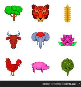 Animal of warm country icons set. Cartoon set of 9 animal of warm country vector icons for web isolated on white background. Animal of warm country icons set, cartoon style