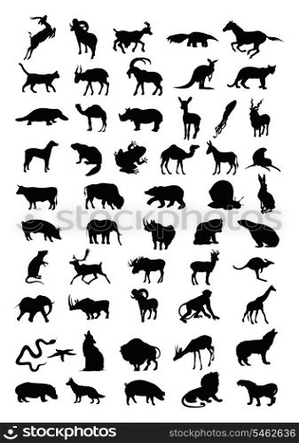 Animal. Silhouettes of animal black colour. A vector illustration