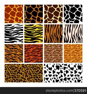 animal skin pattern set