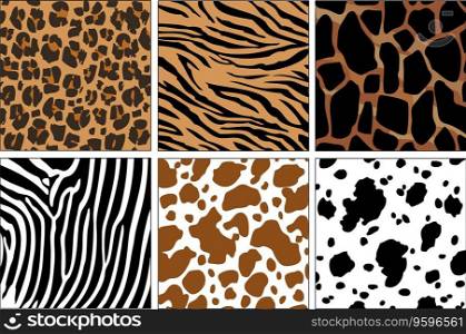 Animal skin prints vector image
