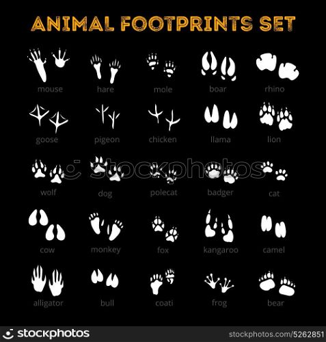Animal Track Black Background. White tracks of different animals pets and birds isolated on black background flat vector illustration