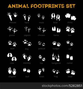 Animal Track Black Background. White tracks of different animals pets and birds isolated on black background flat vector illustration