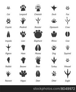 Animal tracks and bird footprints. Animal tracks and bird footprints. Black vector icons and signs