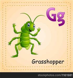 Animals alphabet: G is for Grasshopper