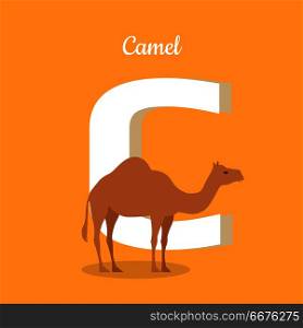 Animals Alphabet. Letter - C. Animals alphabet. Letter - C. Brown camel stands near letter. Alphabet learning chart with animal illustration for letter and animal name. Vector zoo alphabet with cartoon animal on orange background