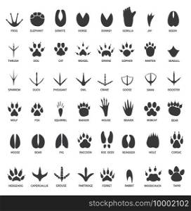 Animals footprints. Animal paws prints. Elephant and gorilla, bison and wolf. Cat, dog and deer, bear black foot tracks vector set. Illustration foot wildlife, paw of wolf print, black track bear. Animals footprints. Animal paws prints. Elephant and gorilla, bison and wolf. Cat, dog and deer, bear black foot tracks vector set