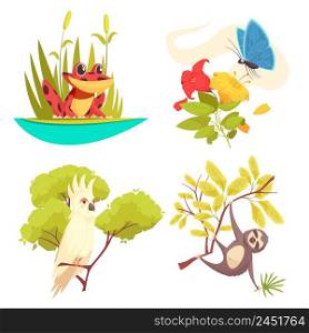 Animals jungle design concept with frog in reeds, butterfly on flower, parrot and sloth isolated vector illustration. Animals Jungle Design Concept
