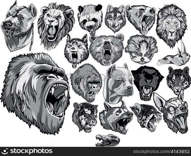animals mega collection vector illustration