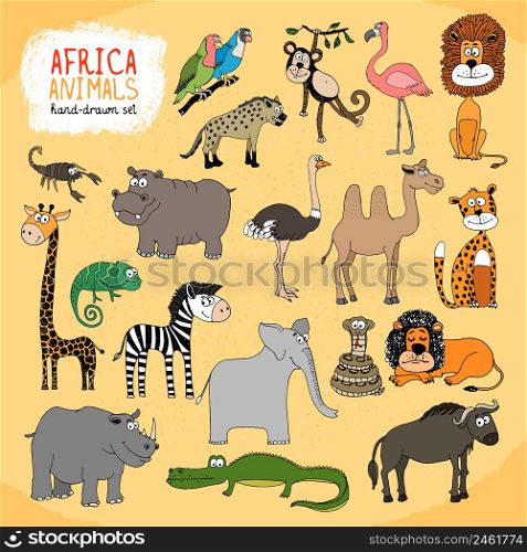 Animals of Africa hand-drawn illustration with a giraffe elephant hippo rhino crocodile lion monkey parrots buffalo snake chameleon hyena zebra ostrich camel and flamingo