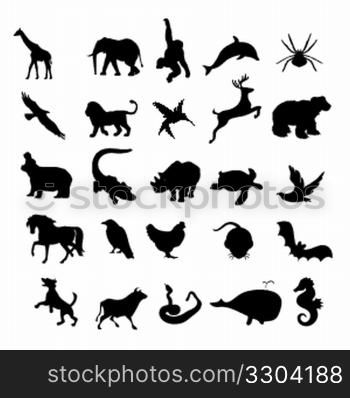 animals silhouettes,wild and pats, birds
