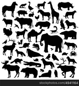Animals Suilhouette Big Set. Wild and domestic animals and birds living in various climatic zones big black silhouette set isolated on white background vector illustration