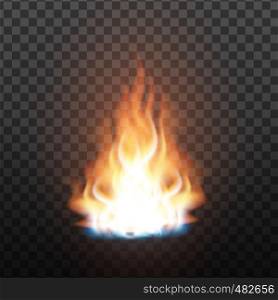 Animation Stage Of Bright Realistic Fire Vector. Orange Flammable Trail Of Fire. Fiery, Bonfire Or Burn Graphic Design Element Effect On Transparency Grid Background. 3d Illustration. Animation Stage Of Bright Realistic Fire Vector