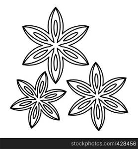 Anise icon. Outline illustration of anise vector icon for web. Anise icon, outline style