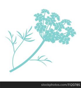Anise plant illustration, drawing, engraving, ink, line art, vector icon isolated on white background flat. Anise plant illustration, drawing, engraving, ink, line art, vector