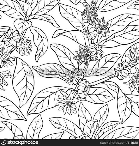 anise seamless pattern. anise branches seamless pattern on white background
