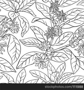 anise seamless pattern. anise branches seamless pattern on white background