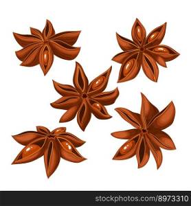 anise star brown dry set cartoon. spice food, ingredient aromatic, seasoning condiment, flavor chinese herb anise star brown dry vector illustration. anise star brown dry set cartoon vector illustration