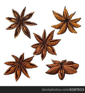 anise star set hand drawn. dry food, spice ingredient, chinese condiment anise star vector sketch. isolated color illustration. anise star set sketch hand drawn vector