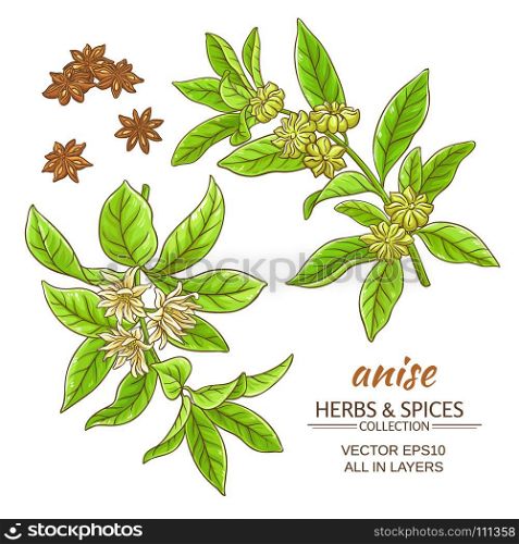 anise vector set. anise branches vector set on white background