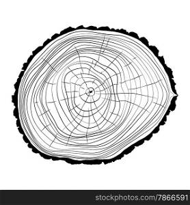 Annual tree growth rings silhouette. EPS10 vector.