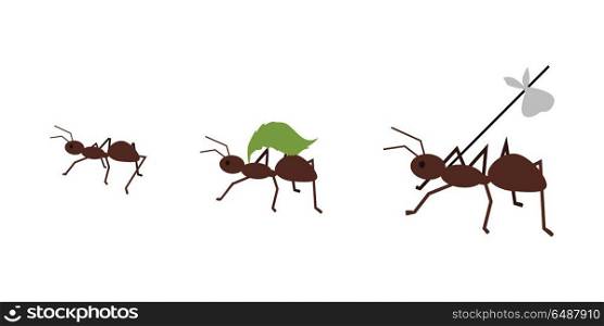 Ant Carrying Her Baggage. Brown ant carrying her baggage on tree branch. Ant carrying green leaf. Ant icon. Ant holding. Insect icon. Termite icon. Isolated object in flat design on white background. Vector illustration.